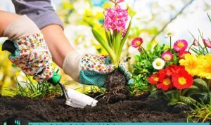 cara-aman-berkebun-perhatikan-langkah-berikut-mitrapost