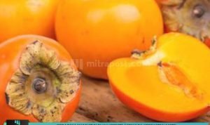 beragam-khasiat-si-buah-genit-menjaga-kesehatan-mata-mitrapost