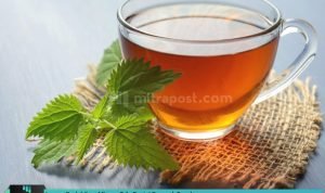 jangan-berlebihan-minum-teh-begini-dampak-buruknya-mitrapost