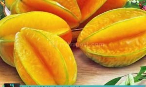 kenali-manfaat-belimbing-kaya-akan-vitamin-c-mitrapost