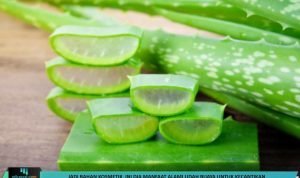 8 Manfaat Lidah Buaya Bagi Kesehatan Hingga Kecantikan