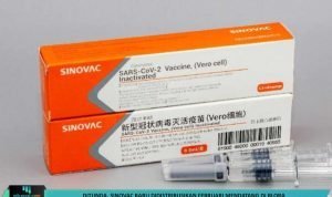 Template berita 988 Ditunda, Sinovac Baru Didistribusikan Februari Mendatang Di Blora