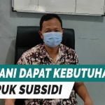 TERVERIFIKASI DI RDKK, DISPERTAN PASTIKAN PETANI DAPAT PUPUK SUBSIDI