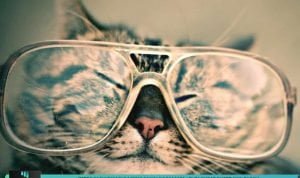 TETEP FASHIONABLE MESKI PAKAI KACAMATA, CURI CHEAT SHEET-NYA DI SINI