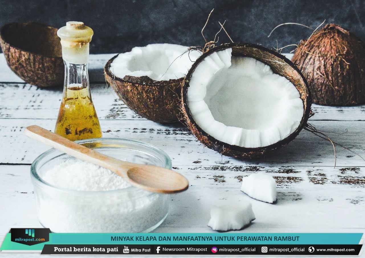 MINYAK KELAPA DAN MANFAATNYA UNTUK PERAWATAN RAMBUT