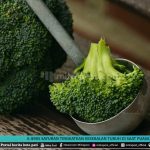6 jenis sayuran tingkatkan kekebalan tubuh saat puasa - mitrapost.com