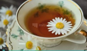 MANFAAT TEH CHAMOMILE, CEGAH OSTEOPOROSIS HINGGA JAGA DAYA TUBUH
