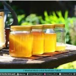 7 manfaat madu untuk kesehatan tubuh
