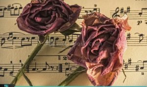 TIPS MUDAH BUAT HIASAN BUNGA KERING