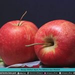 RESEP OLAHAN APEL, PIE NIKMAT DAN MUDAH