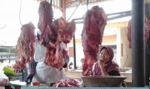 PASTIKAN PEREDARAN DAGING AMAN, DINNAKIKAN BLORA OPERASI KE PASAR