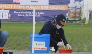 PEMKAB BLORA SIAPKAN PENYALURAN PUPUK ORGANIK SUBSIDI