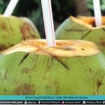 SELAIN CEGAH DEHIDRASI, INILAH MANFAAT AIR KELAPA