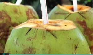 SELAIN CEGAH DEHIDRASI, INILAH MANFAAT AIR KELAPA