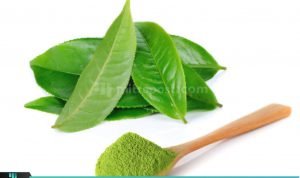 PERBANDINGAN MANFAAT GREEN TEA VS MATCHA DARI SISI KESEHATAN