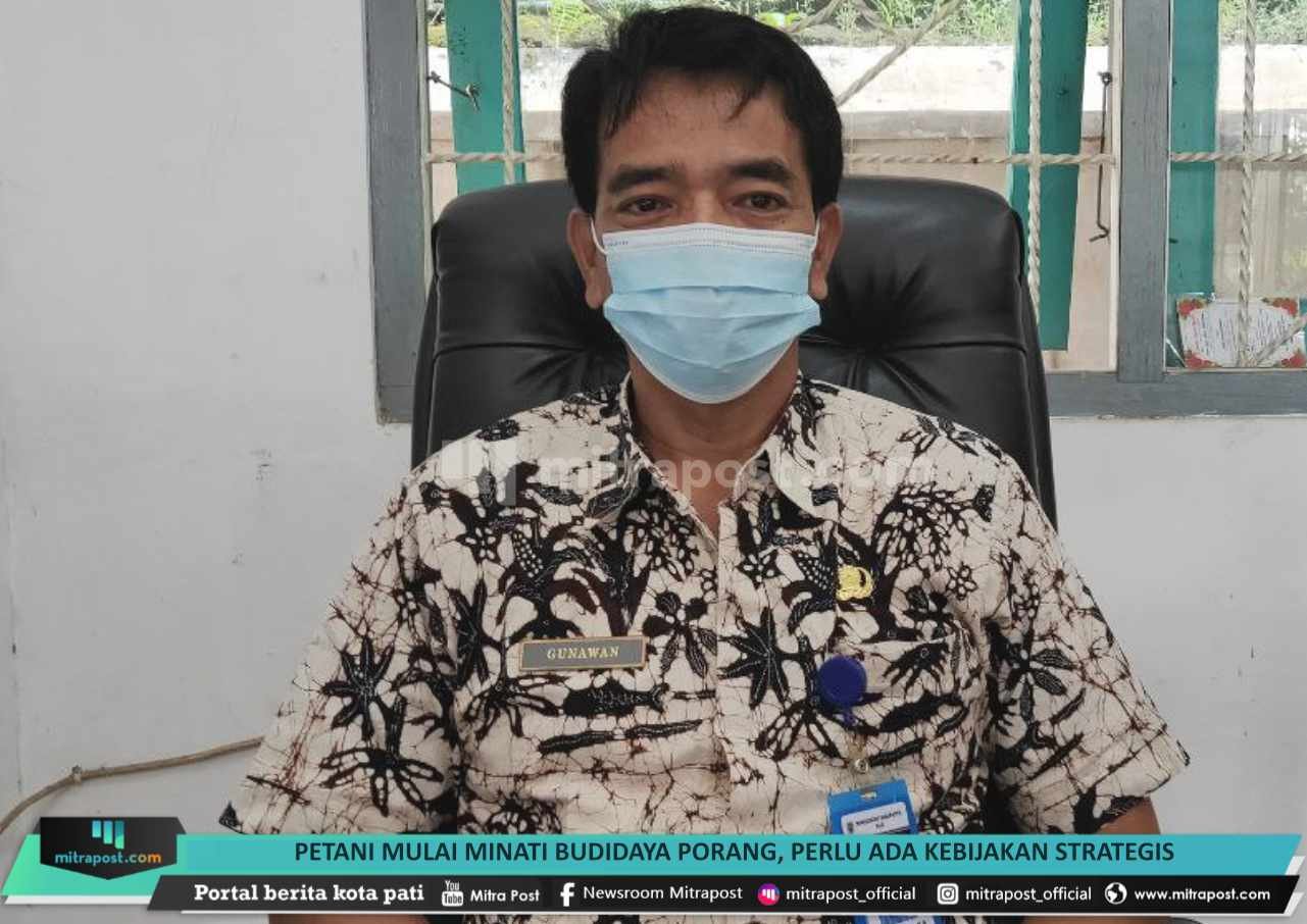 petani-mulai-minati-budidaya-porang-perlu-ada-kebijakan-strategis