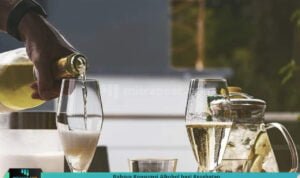 Bahaya Konsumsi Alkohol bagi Kesehatan BAHAYA KONSUMSI ALKOHOL BAGI KESEHATAN