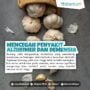 Bawang putih untuk kesehatan di masa pandemi