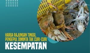 Harga Rajungan Tinggi, Pengepul Diminta Tak Curi-Curi Kesempatan