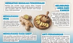 MANFAAT JAHE BAGI KESEHATAN