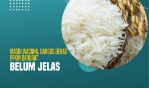 Bansos Beras PPKM Darurat Belum Jelas