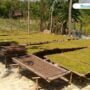 Tak Terdampak Pandemi, Petani Tembakau di Sulang Memasuki Musim Panen