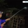 Akibat Bediang, Kandang Sapi Milik Warga Tambakromo Terbakar