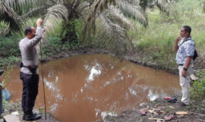 2 Balita Tewas setelah Ditinggal Ortu Panen Sawit 2 Balita Tewas setelah Ditinggal Ortu Panen Sawit