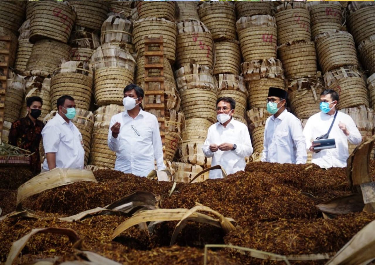 Kemenperin Minta Pabrik Rokok di Temanggung, Percepat Penyerapan Tembakau