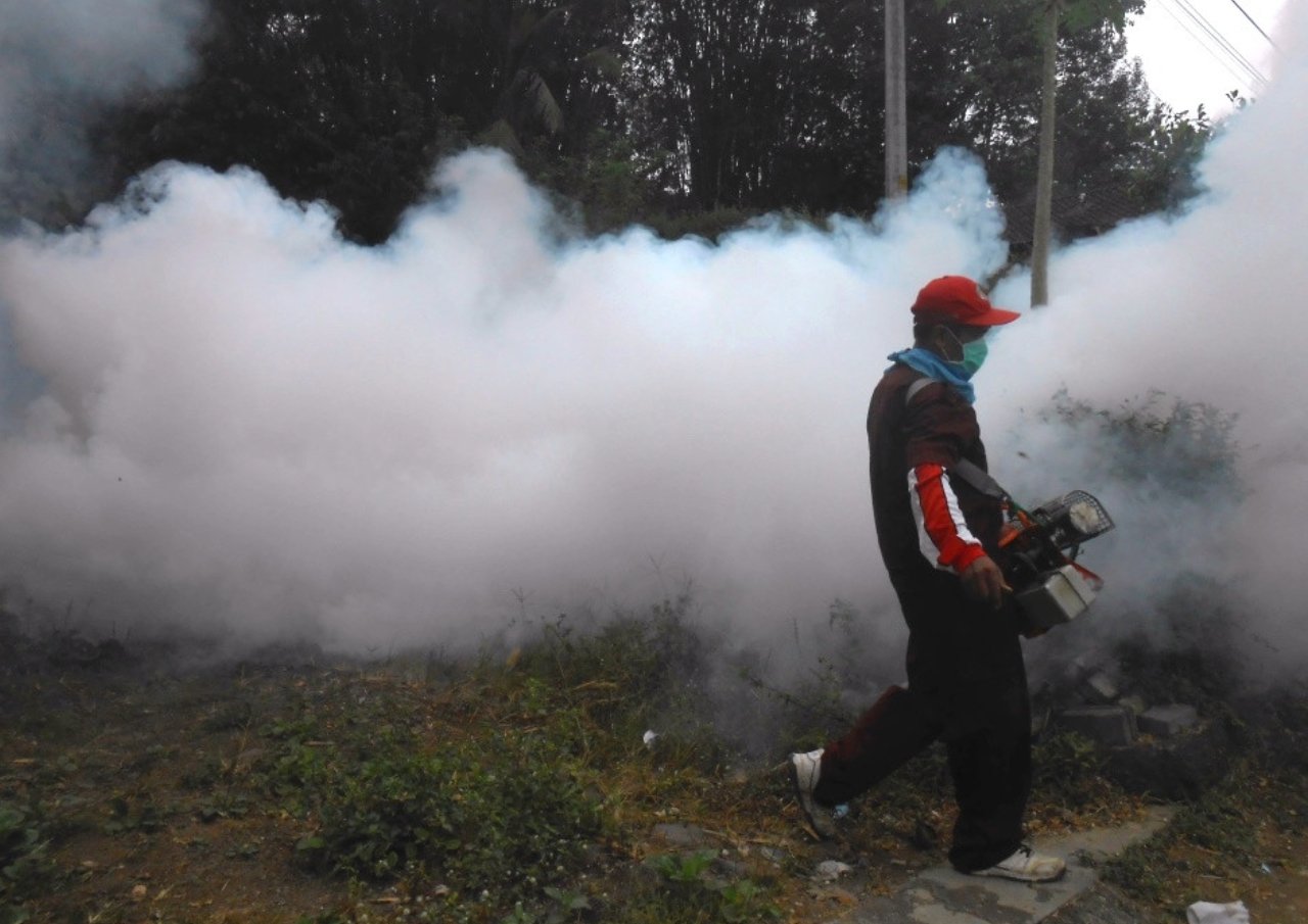 Jelang Musim Hujan, Waspadai Penyakit DBD