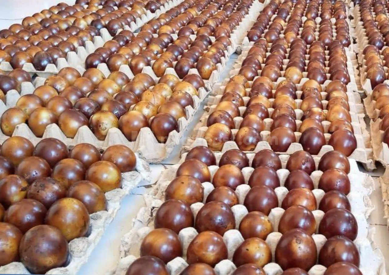 tak hanya peternak bebek, pengusaha telur juga terdampak ppkm - pengusaha telur - mitrapost.com