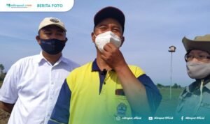 Demi Kendalikan Hama Tikus, Petani Diminta Membuat Rumah Burung Hantu