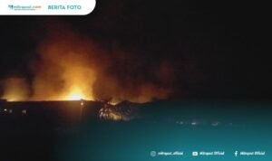 Kandang Ayam Milik Anggota Dewan Pati Terbakar