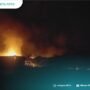 Kandang Ayam Milik Anggota Dewan Pati Terbakar