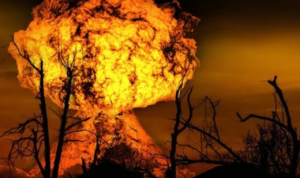 14 Hektare Taman Nasional Bromo Terbakar, Begini Kronologinya