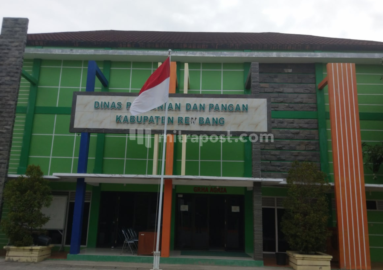 Dintanpan Rembang ANWAR