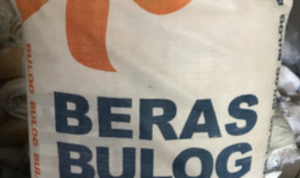 Dirut Perum Bulog Bicara Bulog Berpotensi Merugi