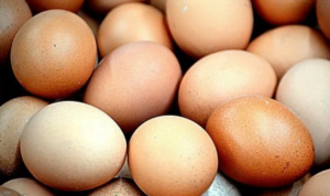 Ini Dalang Harga Telur Ayam Anjlok