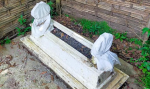 Pelebaran Jalan TWA Mengungkap Cerita Mistis Usai Ditemukan Makam hingga Tabrak Ular Besar