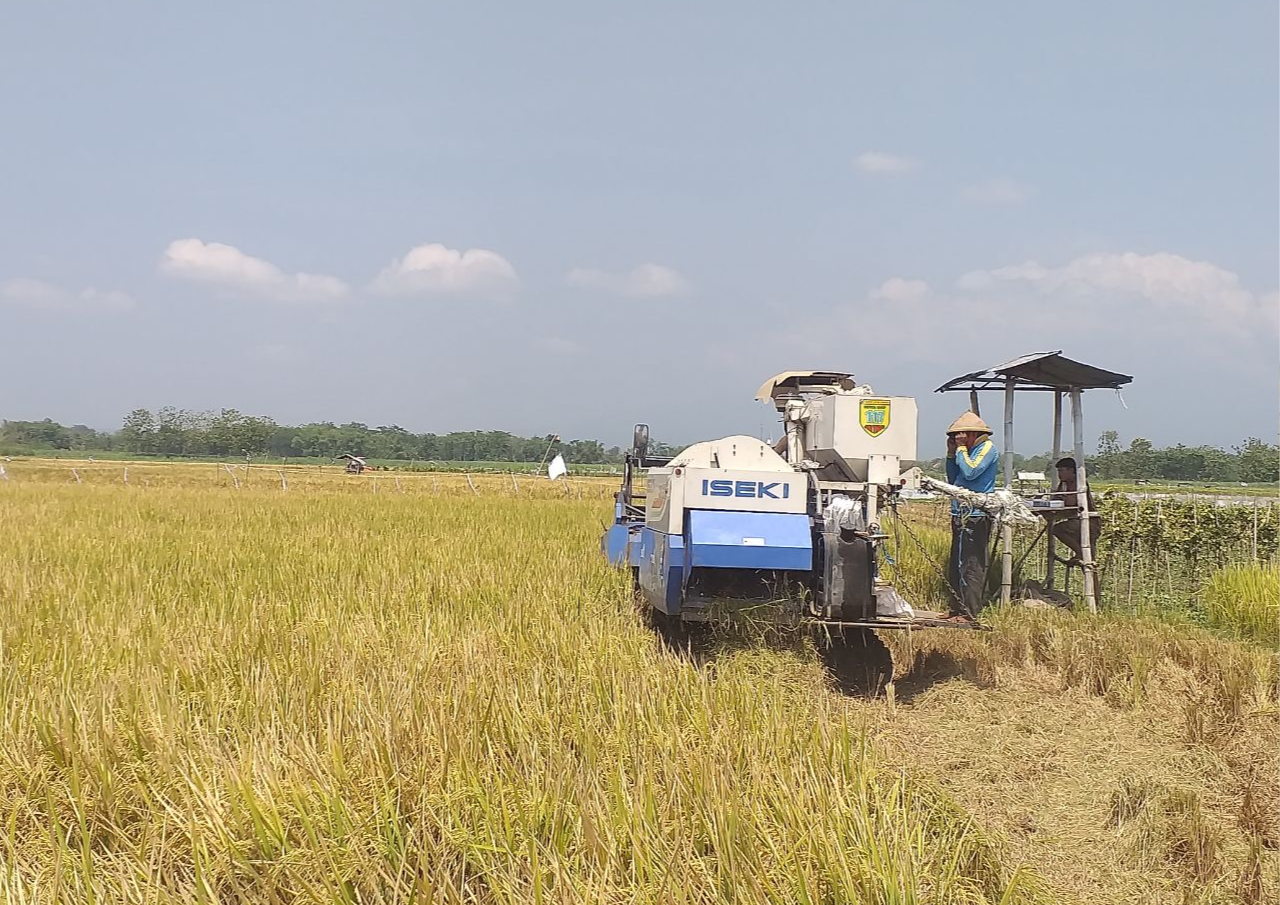 Peringati Hari Pangan, Petani Milenial Diharapkan Berperan