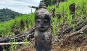 Petani Sumatera Utara Kesurupan Usai Temukan Patung Kuno