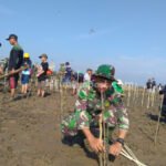 Lahan Mangrove di Pati Turun 20 Persen Akibat Abrasi dan Alihfungsi Lahan Mangrove di Pati Turun 20 Persen Akibat Abrasi dan Alihfungsi
