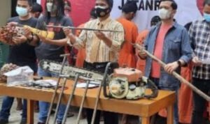 Komplotan Pencuri Kelapa Sawit Diamankan Komplotan Pencuri Kelapa Sawit Diamankan