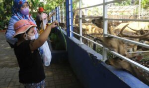 8 Taman Kota di Surabaya Telah Dibuka Untuk Pengunjung