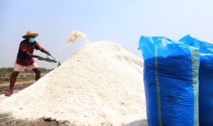 Langkah Tingkatkan Kualitas Produksi Garam Petani