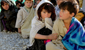 Upah Gandum, Taliban Buka Loker untuk Warga Afghanistan