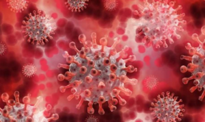 Ahli Sebut Varian Omicron Berbahaya dan Sudah ada di Indonesia