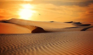 Berkat Bujukan Pangeran Charles, Jeff Bezos Donasikan 14,2 Triliun ke Afrika