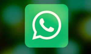 Cara Mengirim File di WhatsApp Lebih dari 100 Mb