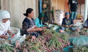Demak Bawang